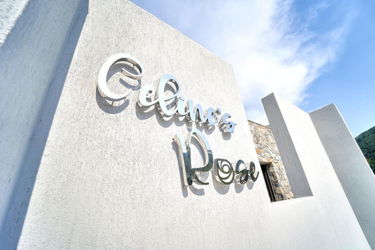 Celine'S Rose Aparthotel Скала Потамияс Екстериор снимка